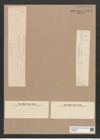 Synedra sp. (de-Toni-Nr.: Genus 66) Zeichnungen Sammlung Grunow Nr. 5385 (NHMW-BOT-W0373813)